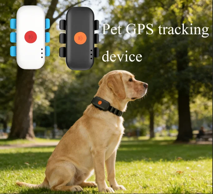 Rastreador GPS para Animais de Estimação com Função de Contagem de Passos 4G para Animais Pequenos, Monitor Inteligente para Cães e Gatos - Imagem 4