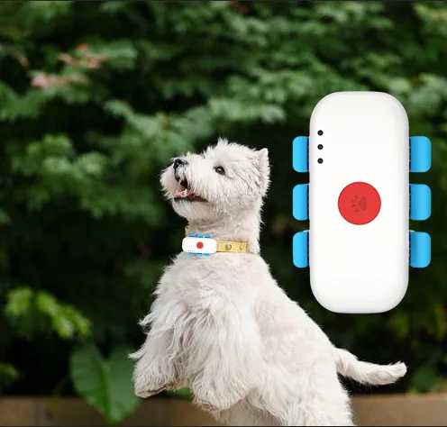 Rastreador GPS para Animais de Estimação com Função de Contagem de Passos 4G para Animais Pequenos, Monitor Inteligente para Cães e Gatos - Imagem 6