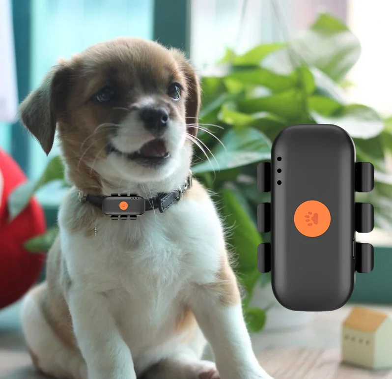Rastreador GPS para Animais de Estimação com Função de Contagem de Passos 4G para Animais Pequenos, Monitor Inteligente para Cães e Gatos