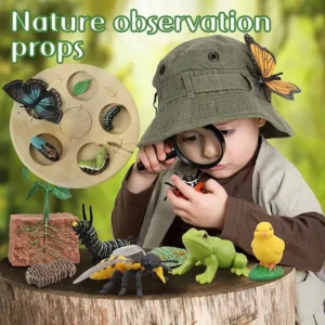 Modelo de Ciclo de Crescimento de Animais e Plantas para Brinquedo